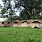 Powiększenie