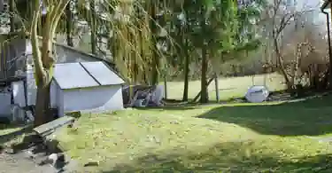 +
